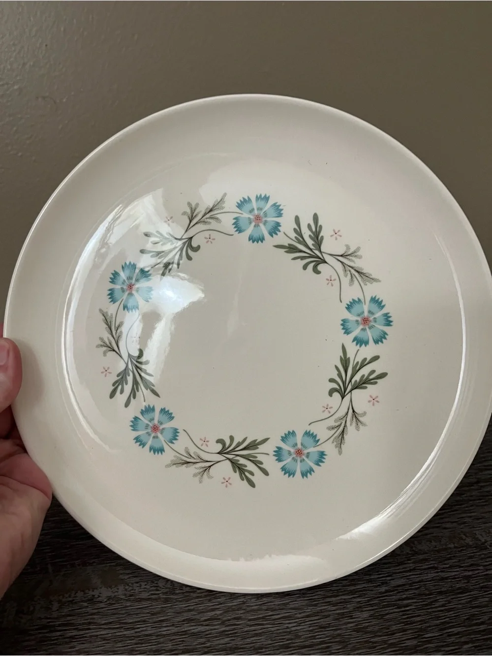 Vintage Taylor Smith & Taylor “Bridal Wreath” dinner plates set of three